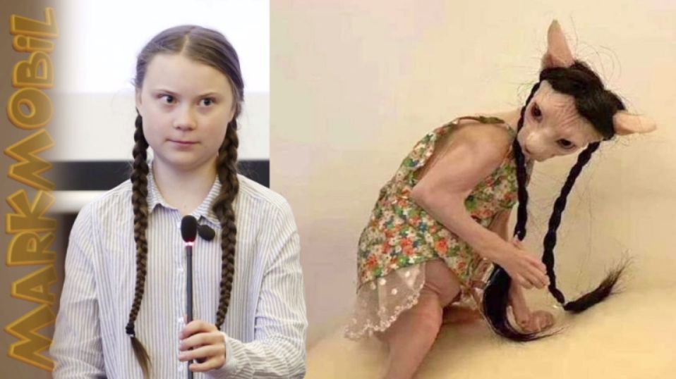 4) Greta Thunberg - als Nacktkatze