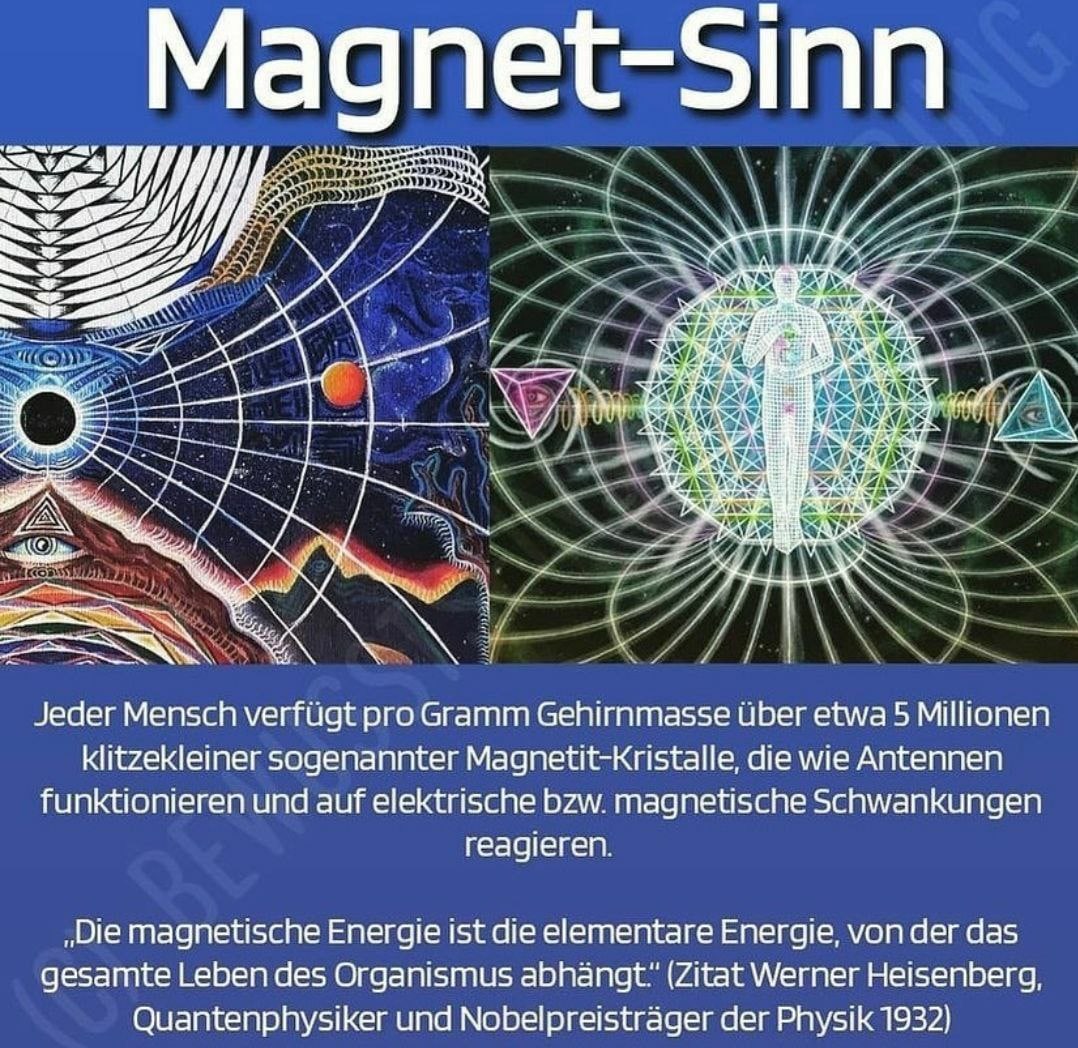 Heisenberg: Magnet-Sinn