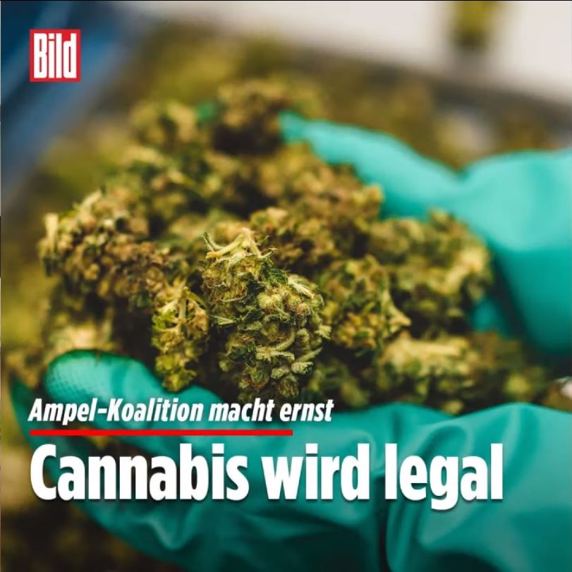 BILD: Cannabis wird legal