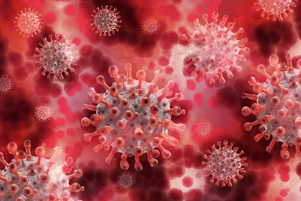 BREAKING NEWS: Top-Virologe warnt vor Massensterben durch Corona-Impfungen